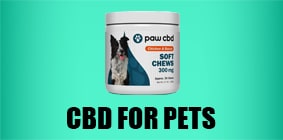CBD For Pets