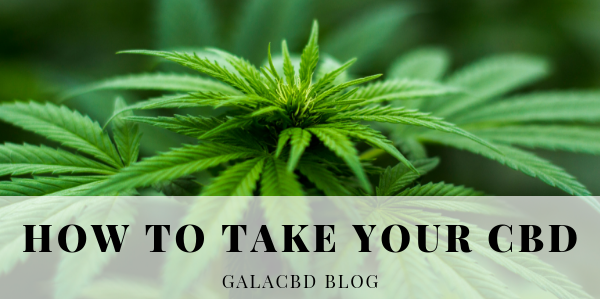 How to take the correct CBD oil dosage: CBD dosage guide for beginners